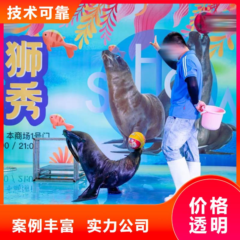 海洋主题动物表演,出租表演企鹅