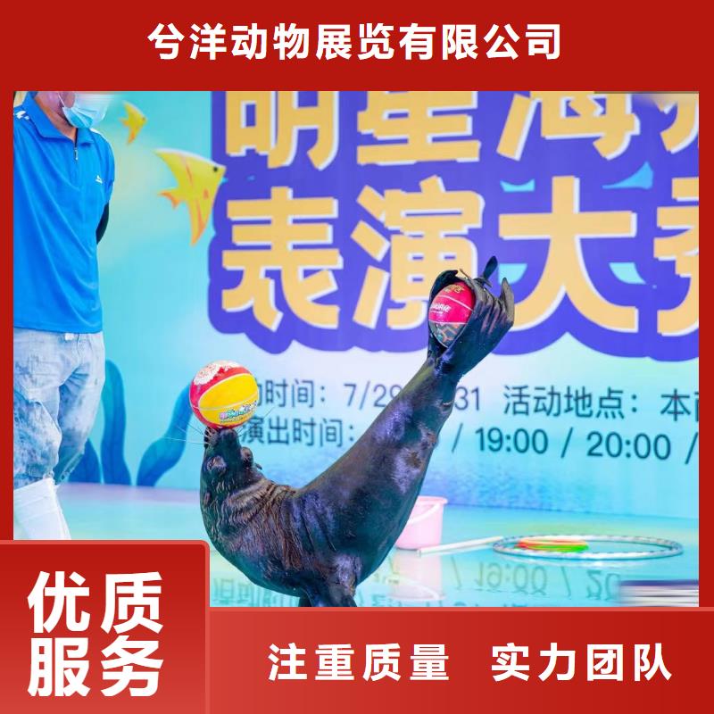 海洋主题动物表演海洋展租赁口碑公司