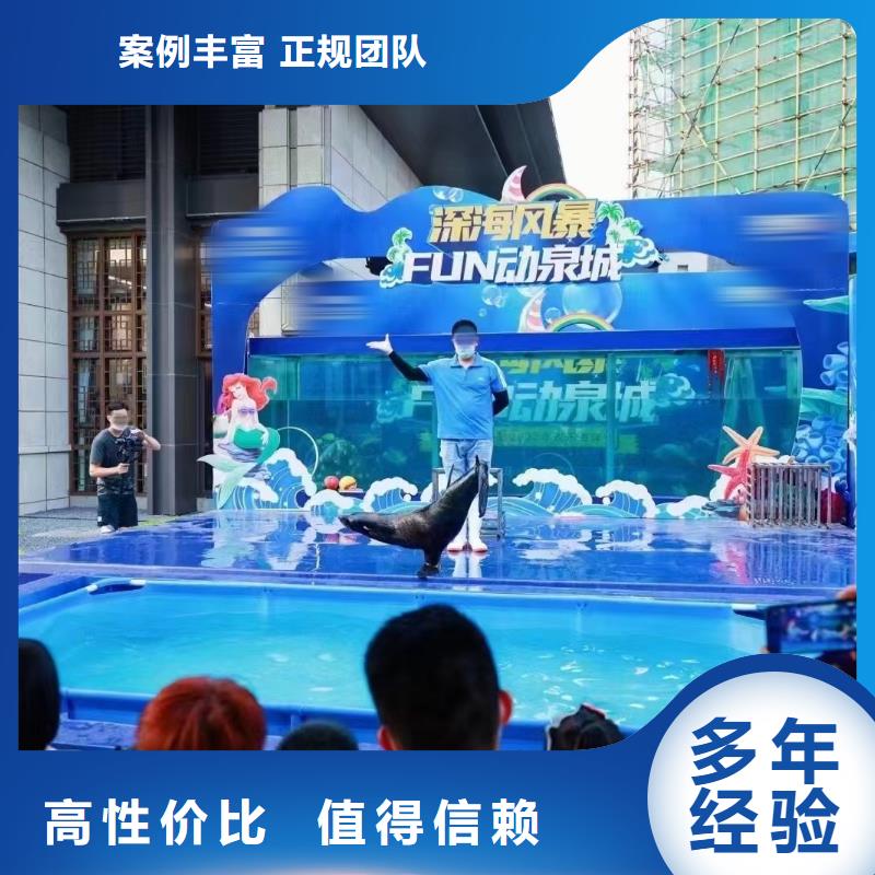 【海洋主题动物表演马戏团表演出租租赁欢迎询价】