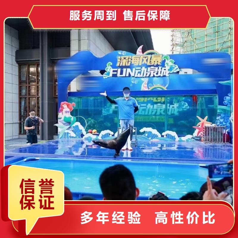 海洋主题动物表演海狮表演出租解决方案