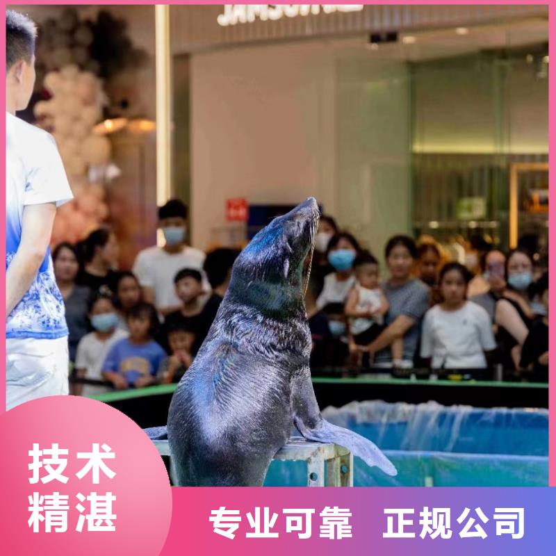 马戏团表演-视频-马戏团表演-广东省梅州市五华|丰顺|珠海|汕头|河源|潮州|肇庆|茂名|韶关(同城)经销商