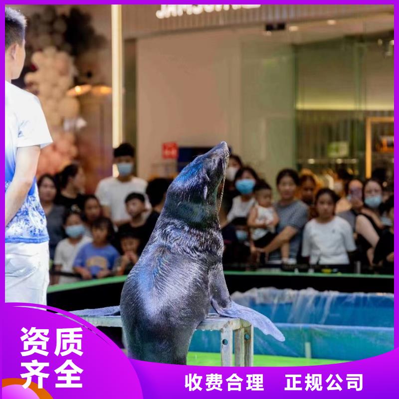 哪里有海洋展租赁的节日活动