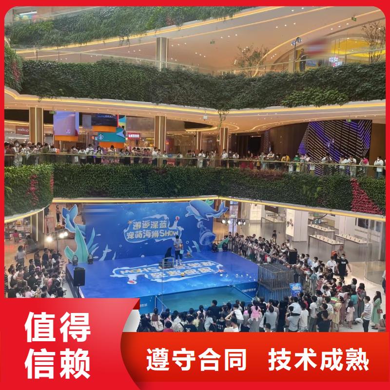 海洋主题动物表演马戏团表演出租租赁品质卓越