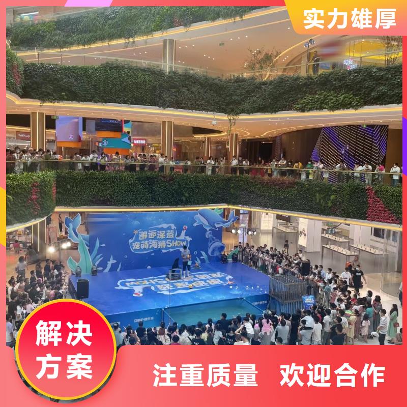海洋主题动物表演海狮表演出租解决方案