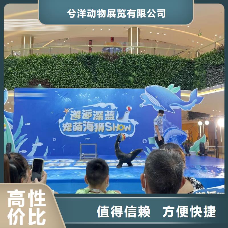 海洋主题动物表演马戏团表演出租租赁资质齐全