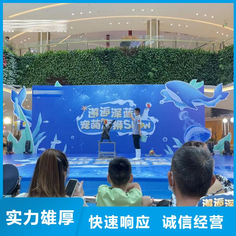 【海洋主题动物表演马戏团表演出租租赁欢迎询价】