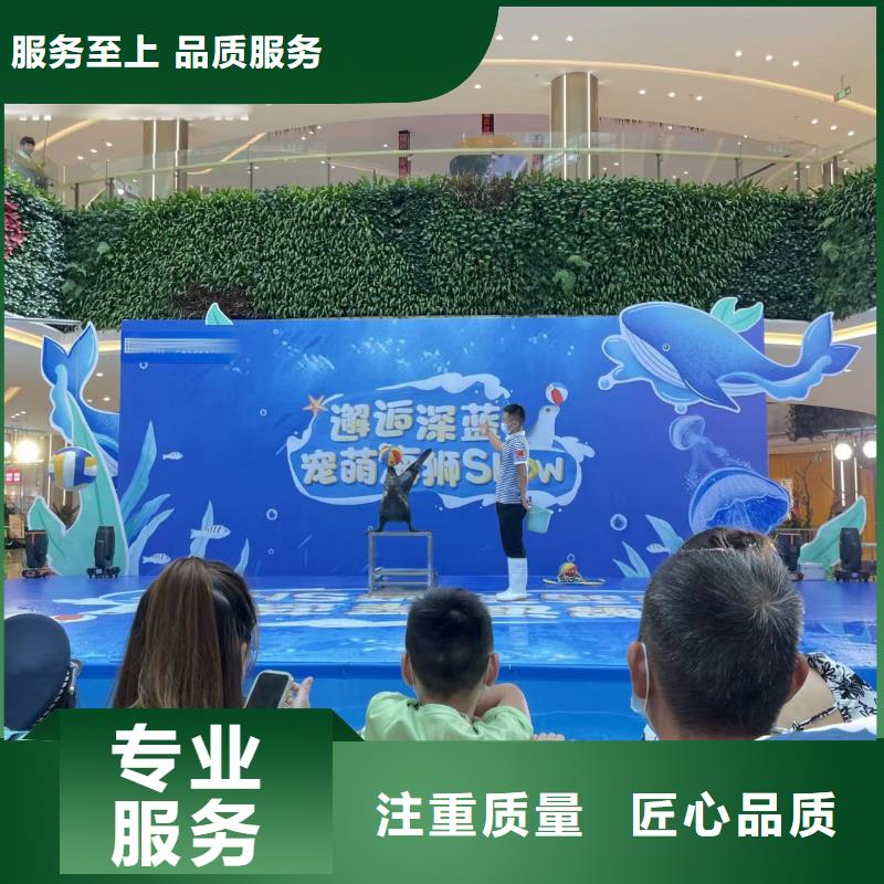 【海洋主题动物表演】_【海狮杂技表演】解决方案