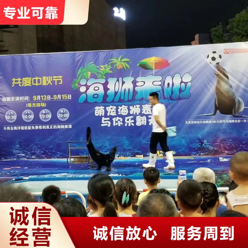 海洋主题动物表演美人鱼表演实力团队