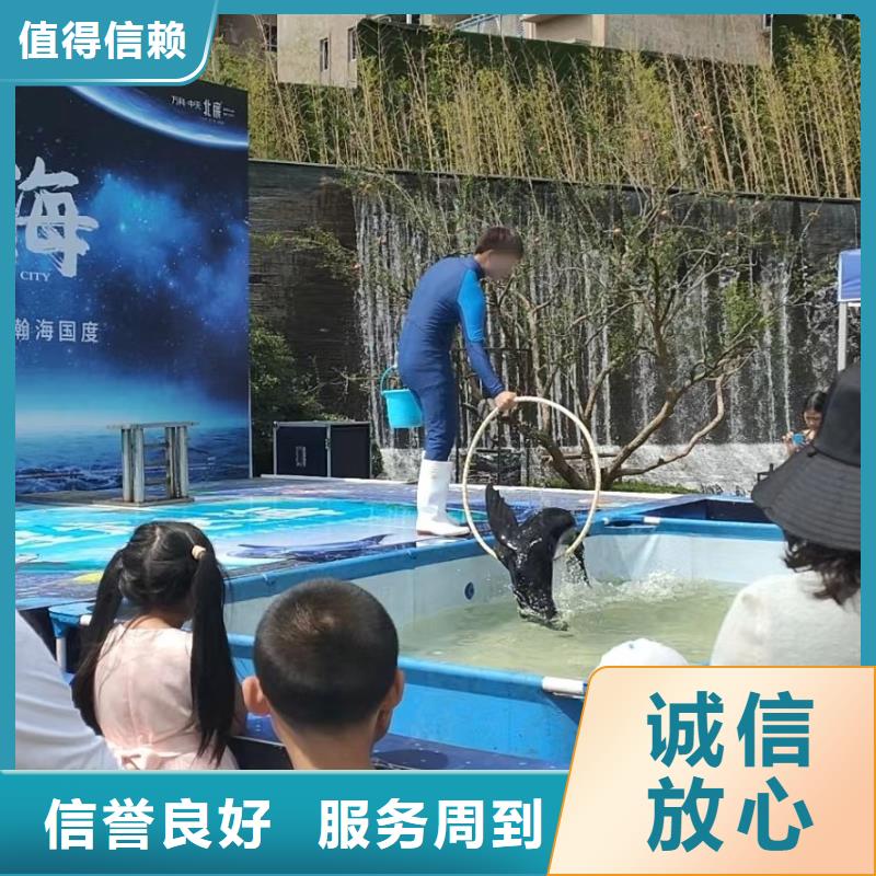 海洋主题动物表演【企鹅表演出租】服务周到