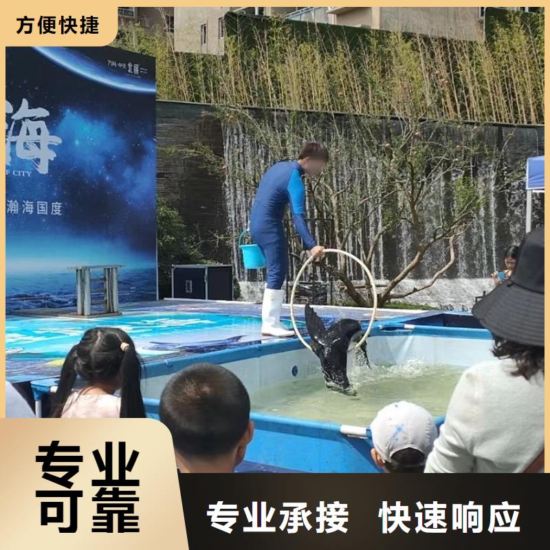 马戏团表演-视频-马戏团表演-广东省梅州市五华|丰顺|珠海|汕头|河源|潮州|肇庆|茂名|韶关(同城)经销商