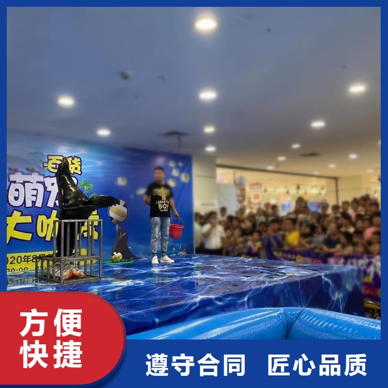 马戏团表演-视频-马戏团表演-广东省梅州市五华|丰顺|珠海|汕头|河源|潮州|肇庆|茂名|韶关(同城)经销商