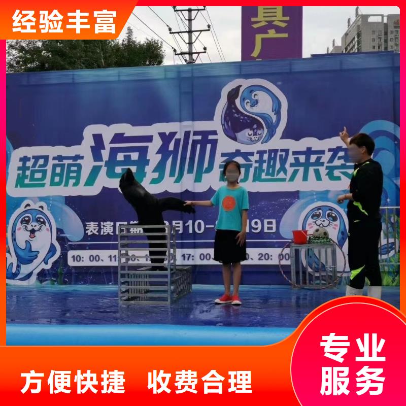 海洋主题动物表演_【企鹅表演】拒绝虚高价