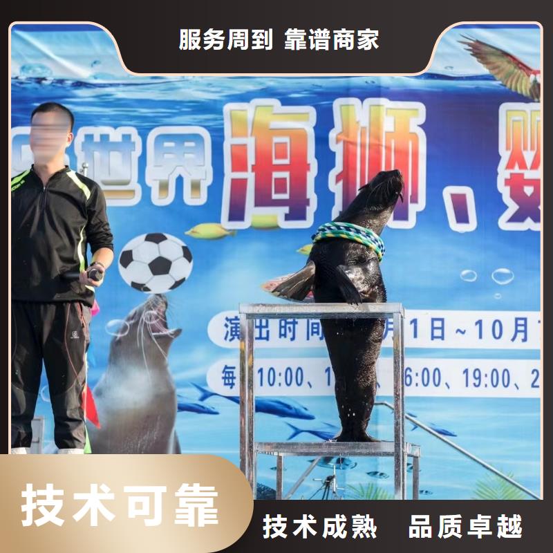 海洋主题动物表演马戏团表演出租租赁资质齐全