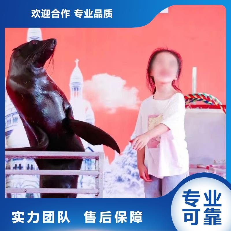 海洋主题动物表演-动物杂技表演租赁公司