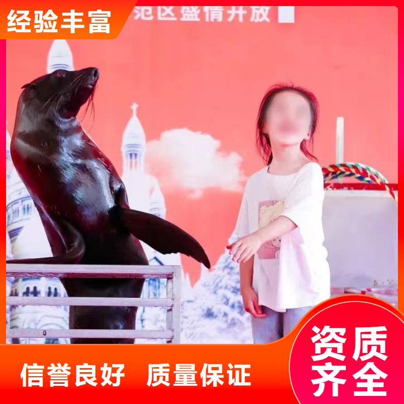 海洋主题动物表演-杂技表演正规公司