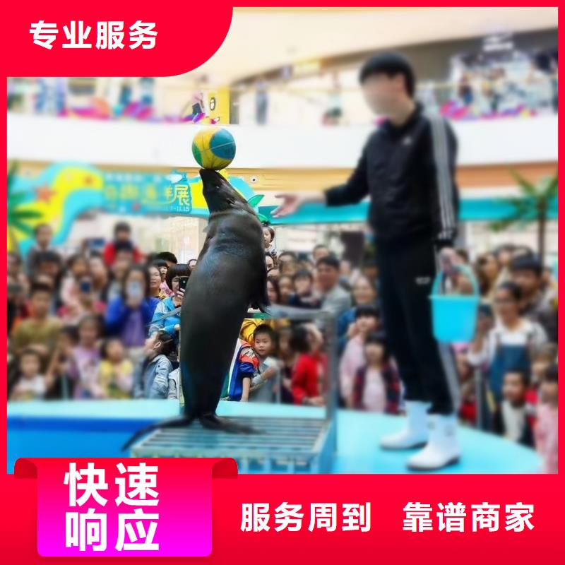 海洋主题动物表演海洋展租赁一站式服务