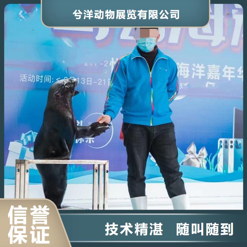 海洋主题动物表演海洋展租赁一站式服务