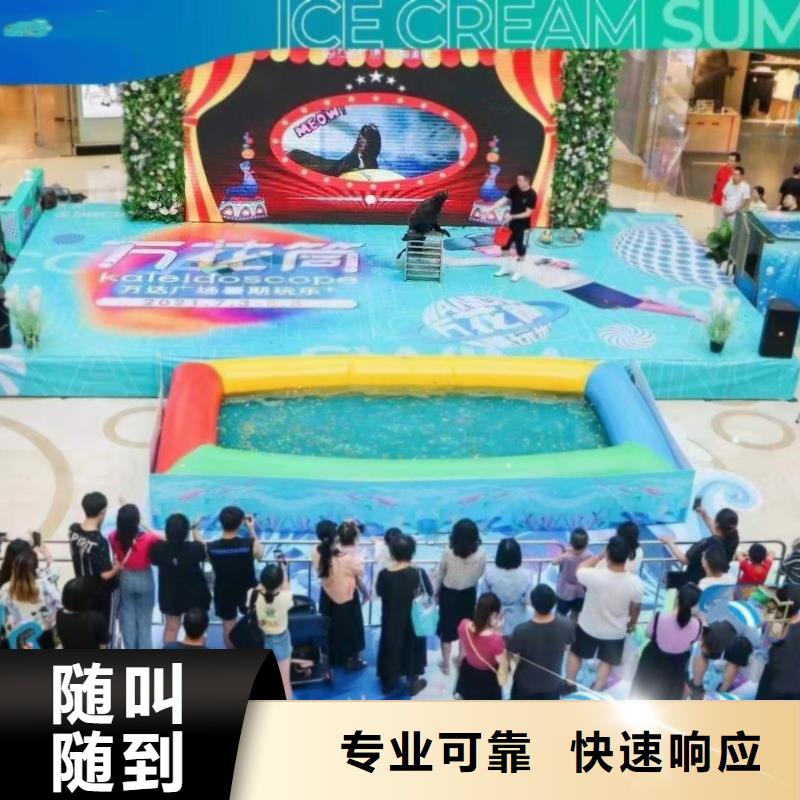 海洋主题动物表演_海狮表演出租资质齐全