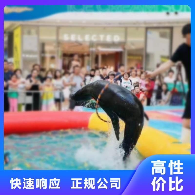 海洋主题动物表演海洋展租赁一站式服务