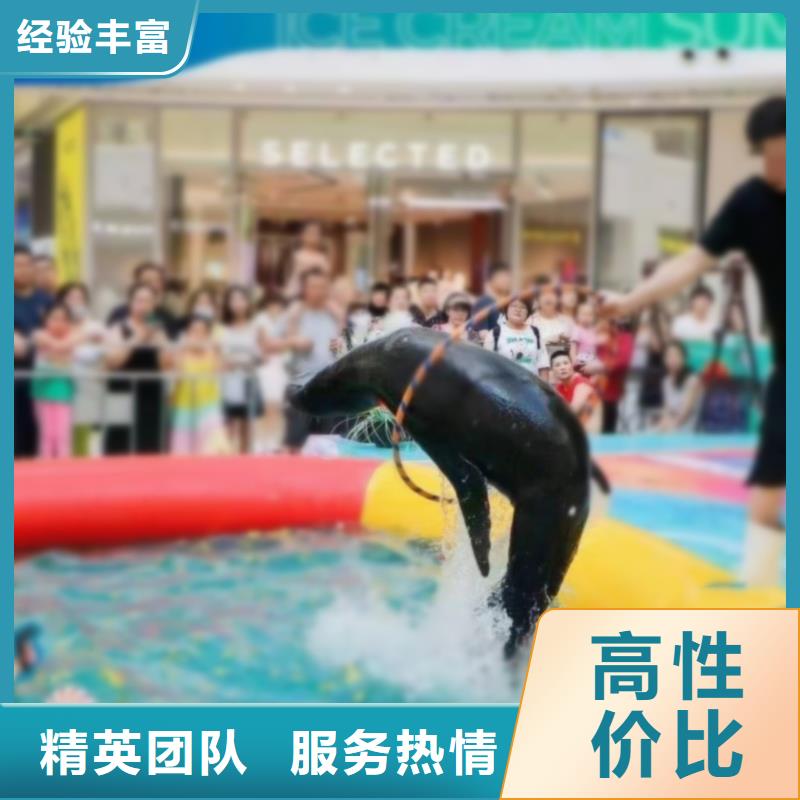 海洋主题动物表演-动物杂技表演租赁公司