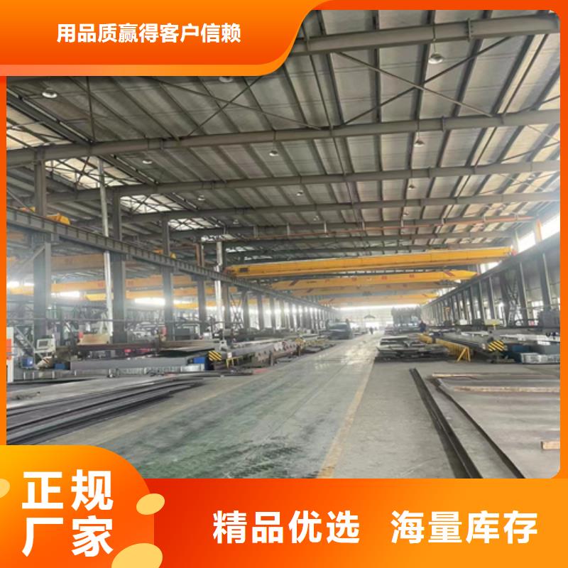 碳钢不锈钢复合板电站专用