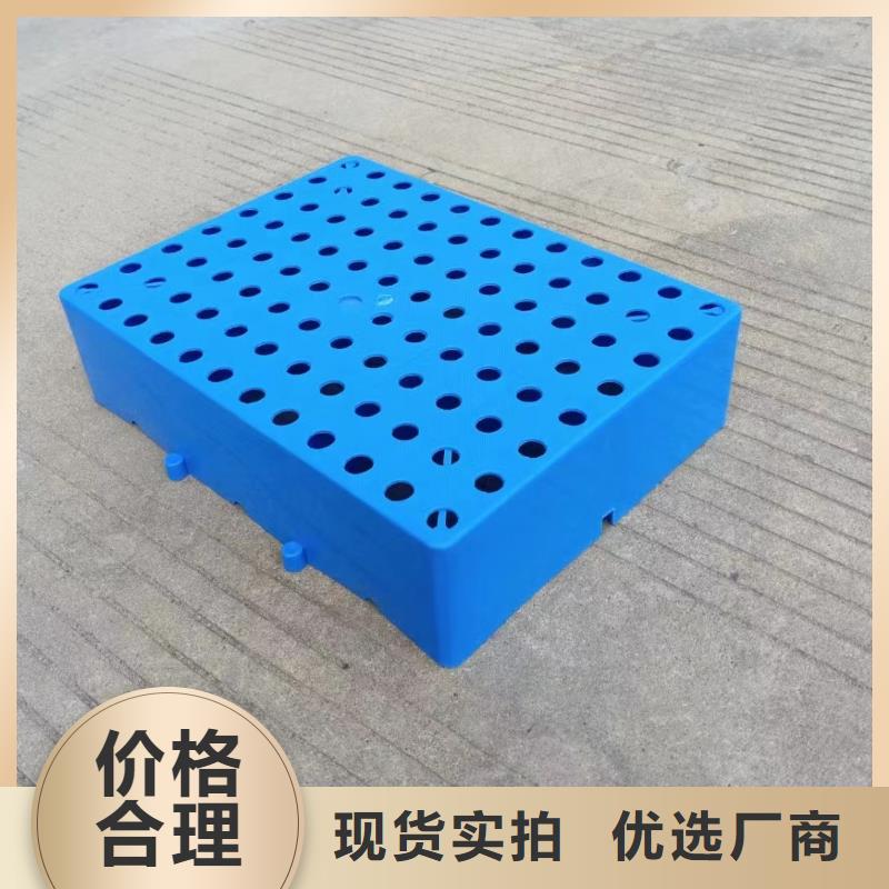 塑料托盘仓储塑料托盘自营品质有保障