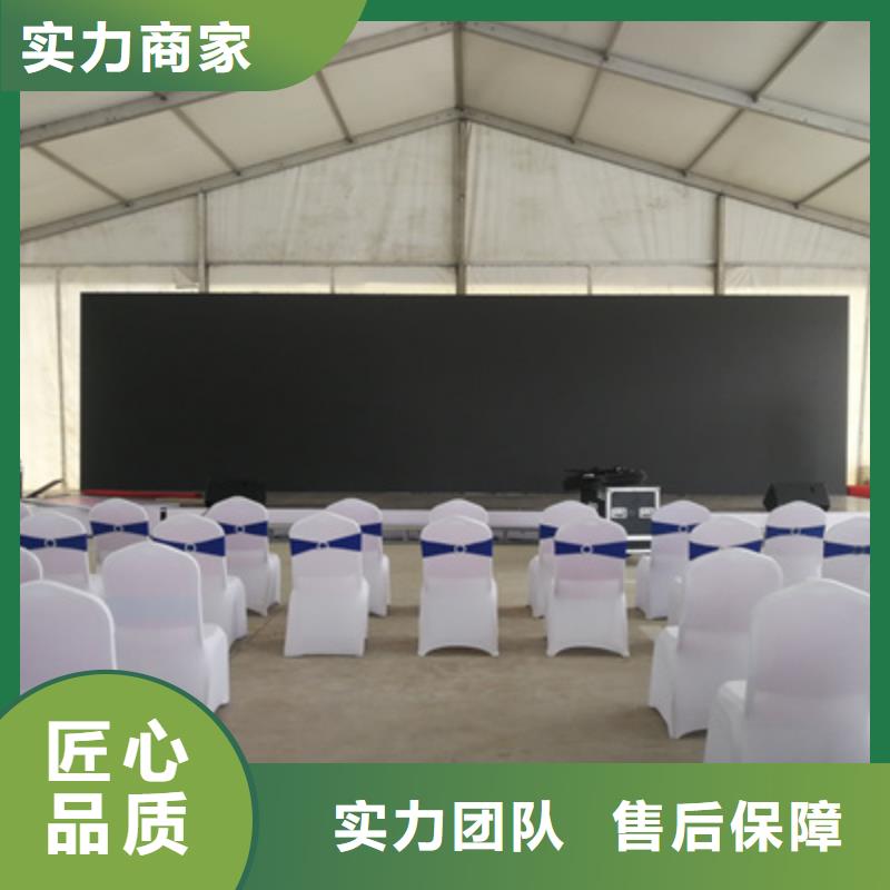 活动执行_元旦晚会策划品质优
