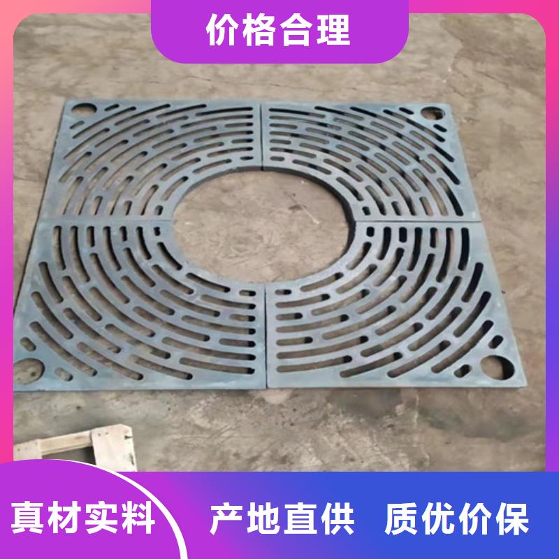 350*500球墨铸铁单片篦子厂家