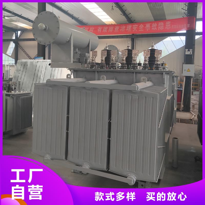 油浸式变压器变压器厂家有实力有经验