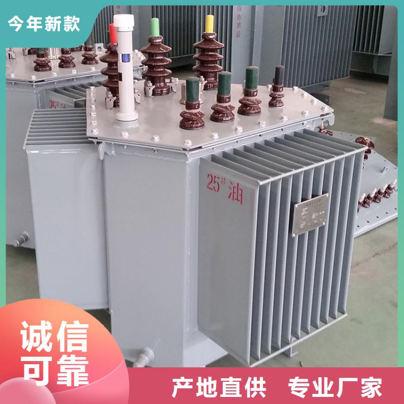 油浸式变压器地埋箱式变电站一站式厂家