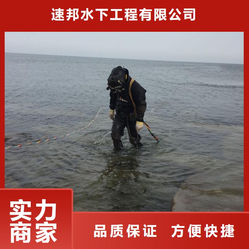 水下闸门堵漏维修经验丰富