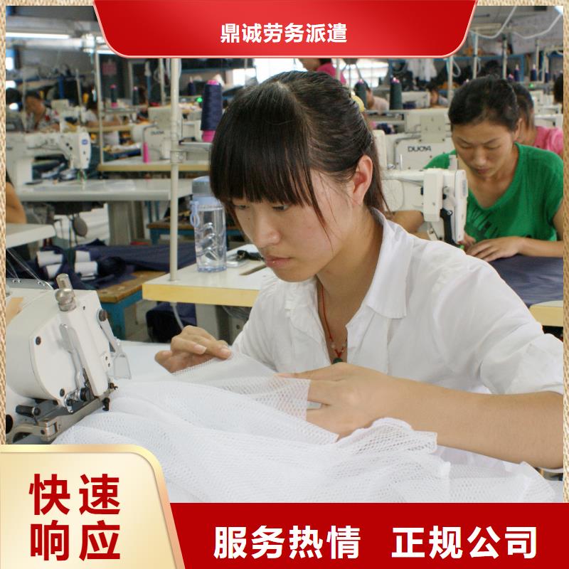 人事工作外包-视频-文山市人事工作外包-本土可服务区域西畴|麻栗坡|昭通|西双版纳|保山|临沧|曲靖