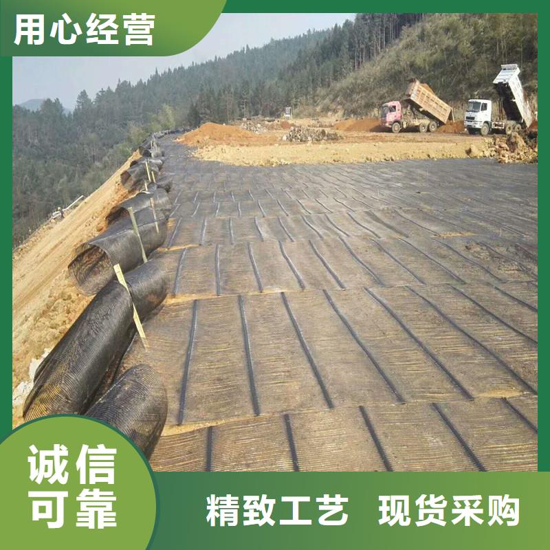 土工格栅\抗裂贴止水带一站式供应