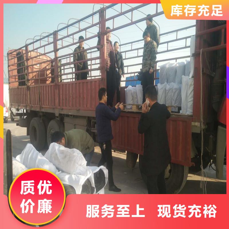 双向塑料土工格栅生产厂家