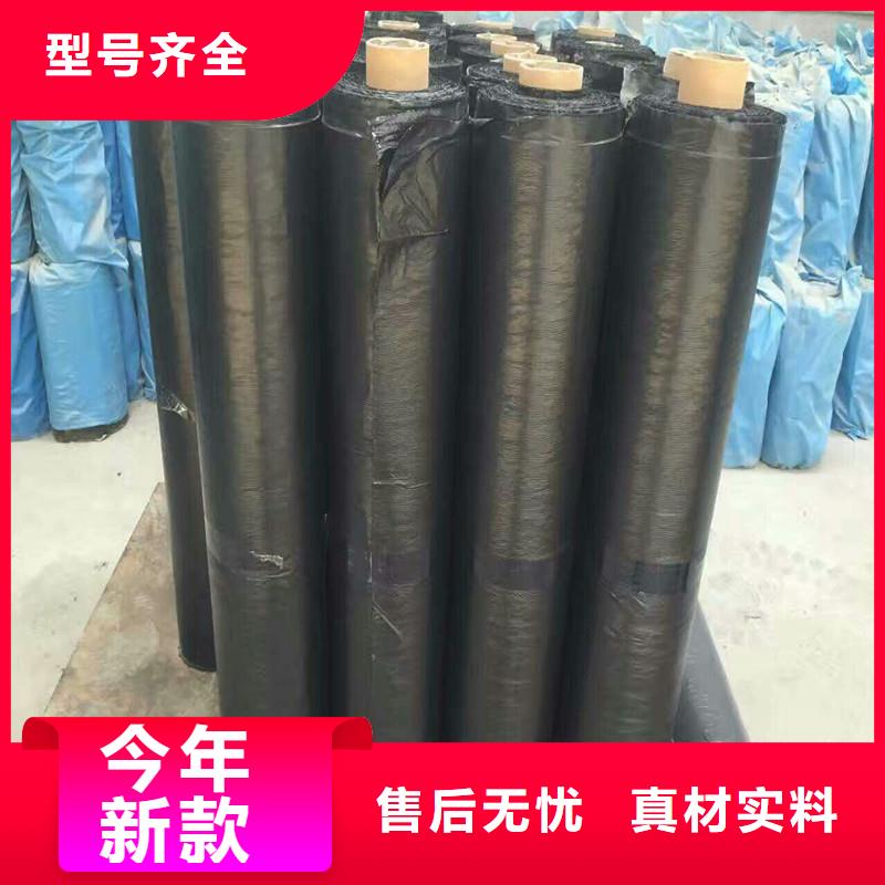 双向塑料土工格栅生产厂家