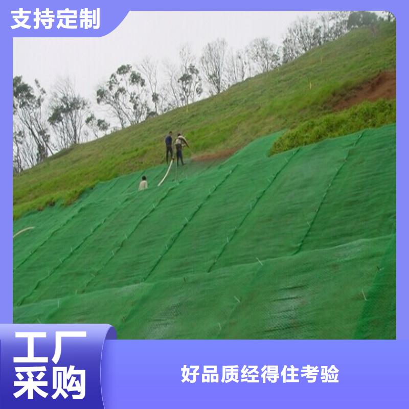 土工布,土工网就近发货