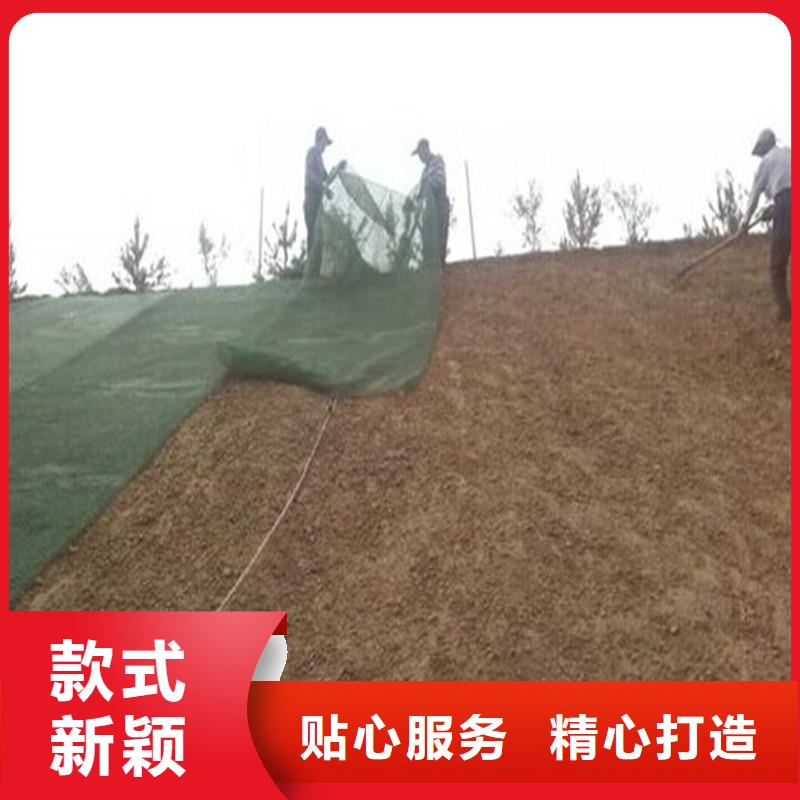 玻纤格栅-视频-玻纤格栅|山西省太原市|娄烦|杏花岭|吕梁|运城|晋城|朔州|忻州|长治