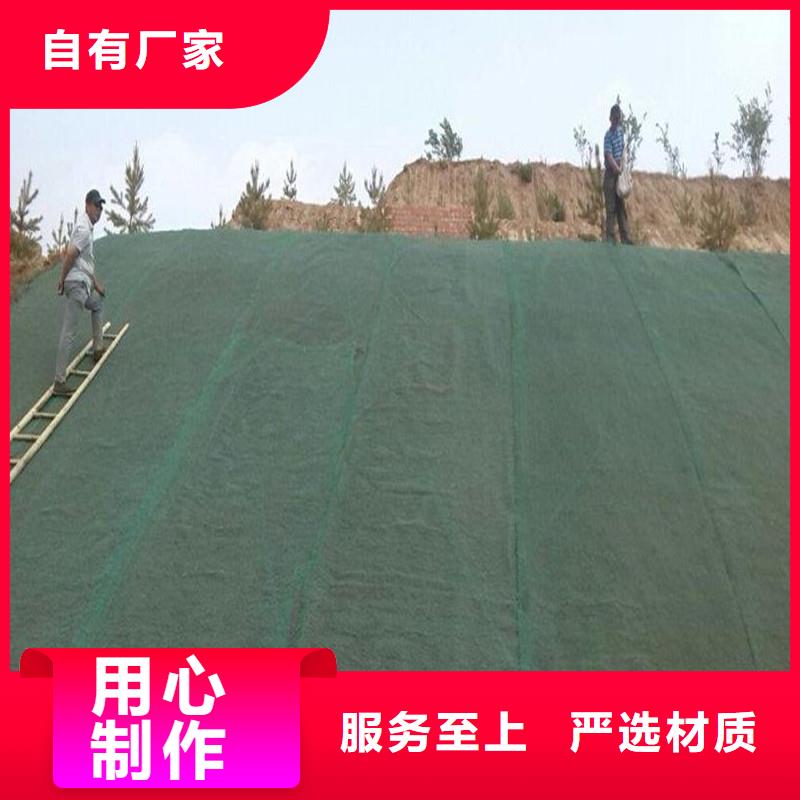 玻纤格栅-视频-玻纤格栅_内蒙古通辽市市场覆盖包头|赤峰|呼和浩特|呼伦贝尔|乌海|乌兰察布|兴安等