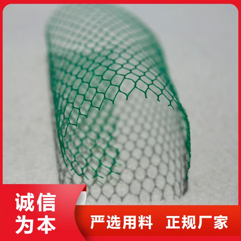 土工布-网格布厂家直营