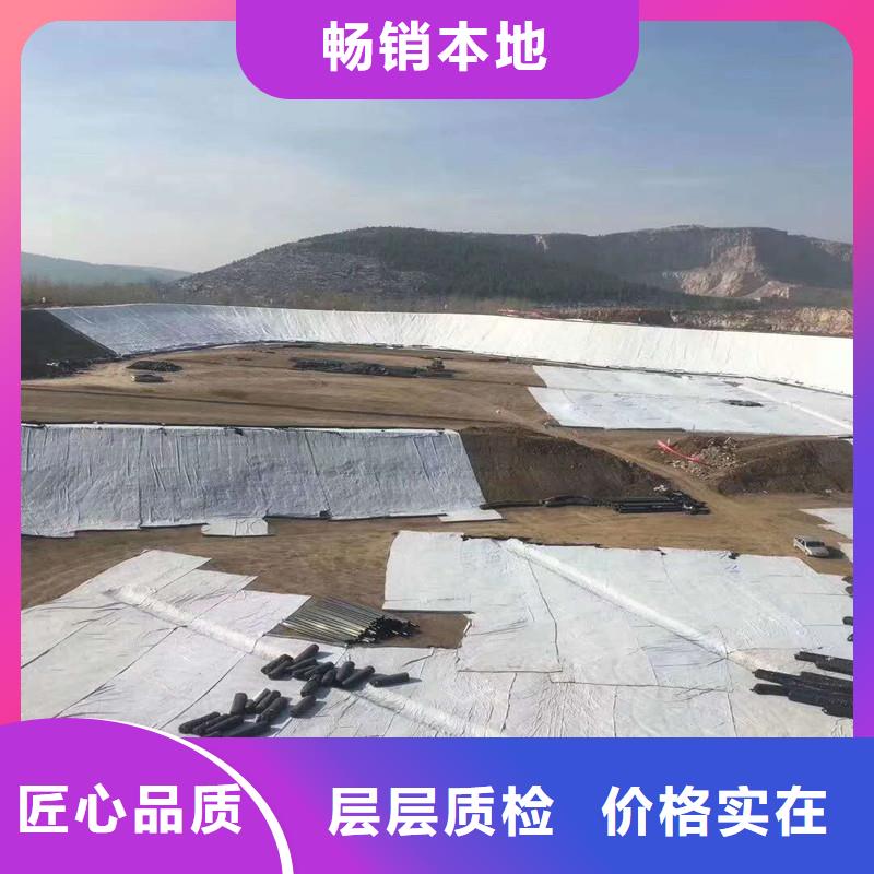 土工布矿用阻燃网工厂直销