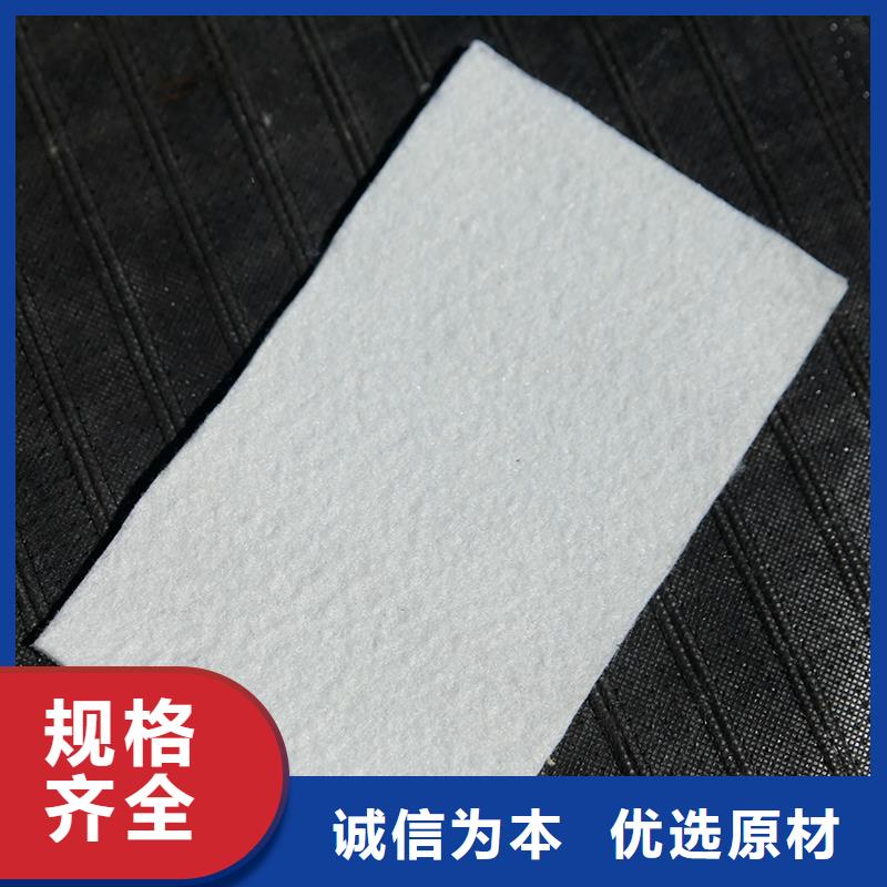 土工布,土工网就近发货