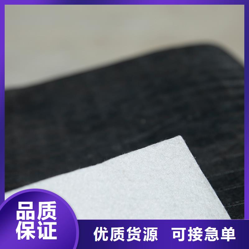 土工布双向土工格栅源头厂家经验丰富