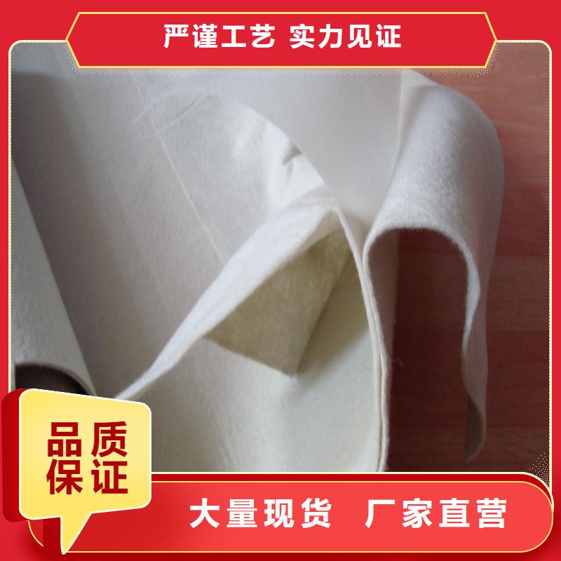 土工布双向土工格栅源头厂家经验丰富