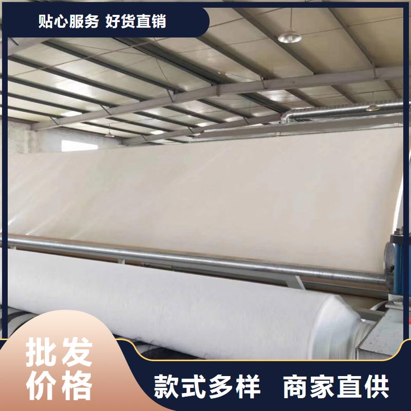 土工布双向土工格栅源头厂家经验丰富