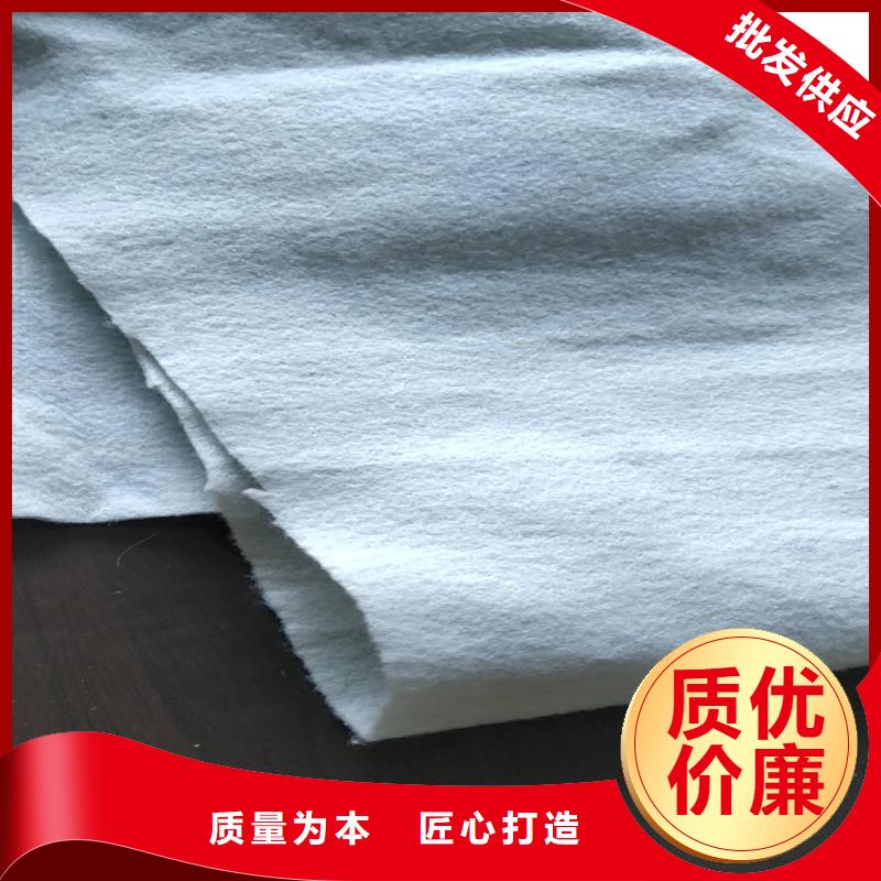 土工布-矿用格栅拥有多家成功案例