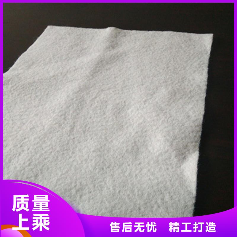 土工布矿用阻燃网工厂直销