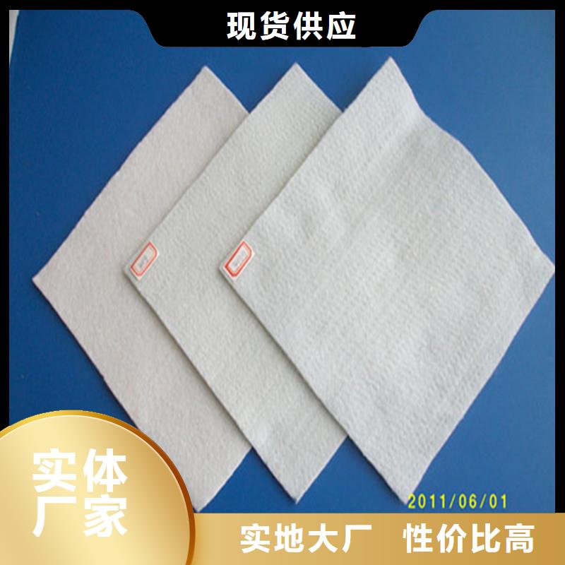 土工布双向土工格栅源头厂家经验丰富