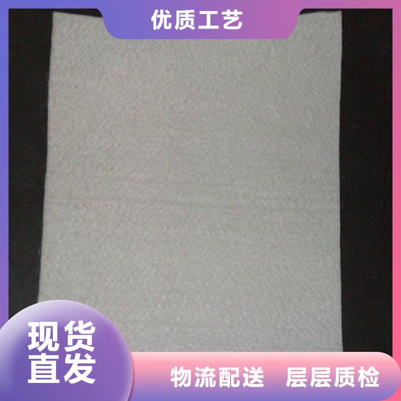 土工布矿用阻燃网制造厂家