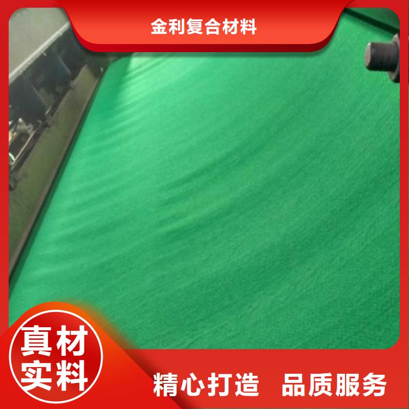 土工布双向土工格栅源头厂家经验丰富
