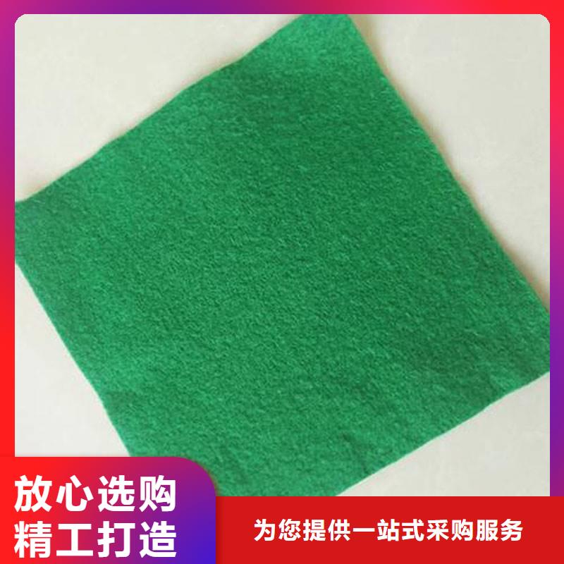 土工布双向土工格栅源头厂家经验丰富